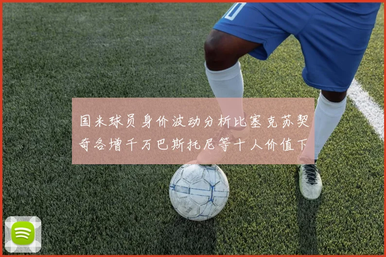 国米球员身价波动分析比塞克苏契奇各增千万巴斯托尼等十人价值下滑